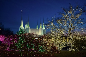 Garden of Lights at the Mormon Temple